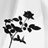 Rose Sillouette